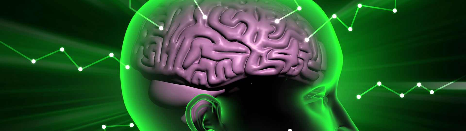 mózg człowieka na zielonym tle